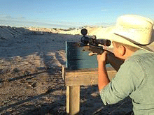 1.gif 1.gif